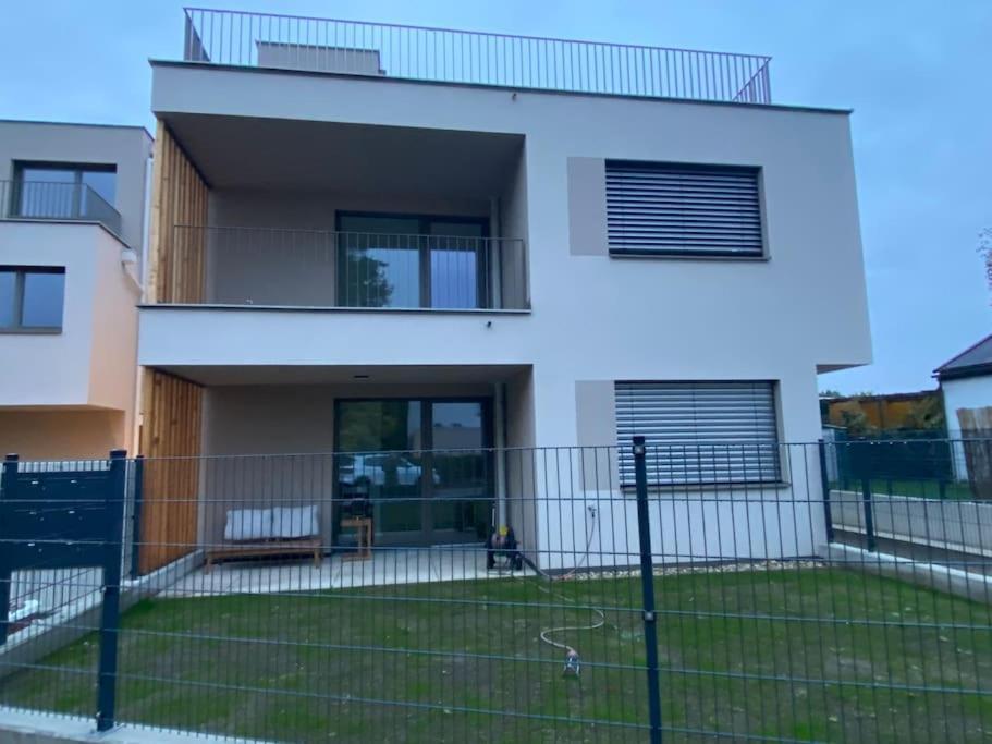 Modern Studio Gardenia_Gartenwohnung Alte Donau 비엔나 외부 사진
